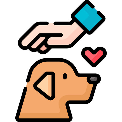 Dog Care Guide PDF