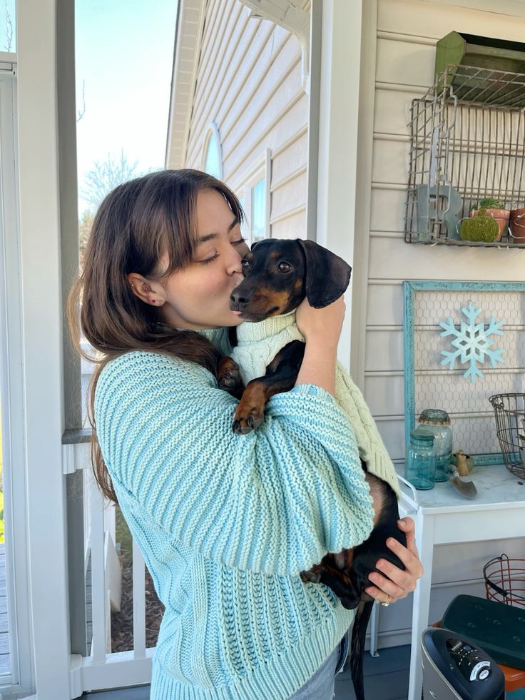 files/dog_marty_dachshund_weiner_dog_weenie_doxie_black_and_tan.jpg
